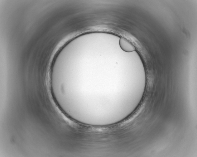 X0000111591286200907161145