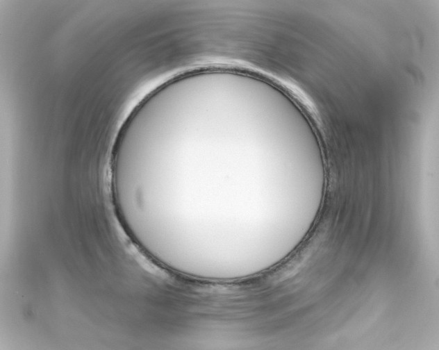 X0000111591287200907161145