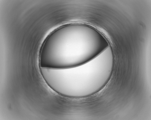 X0000111591288200907161145