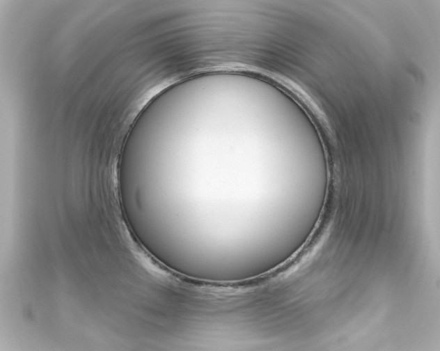 X0000111591289200907161145