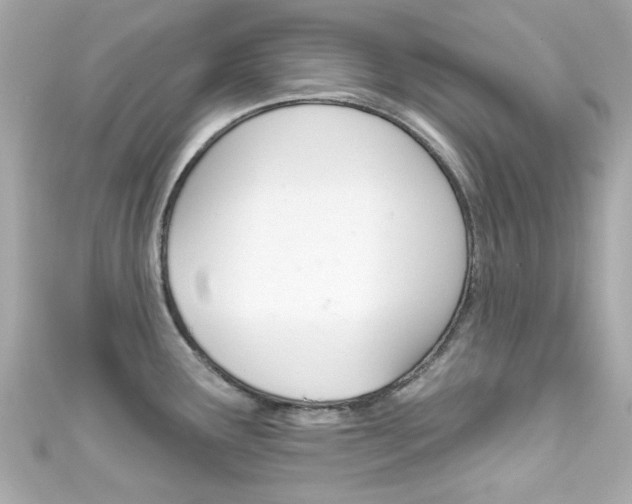X0000111591291200907161145