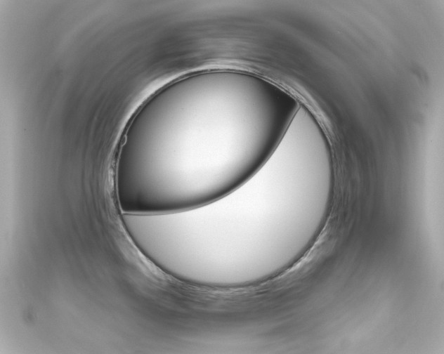 X0000111591292200907161145