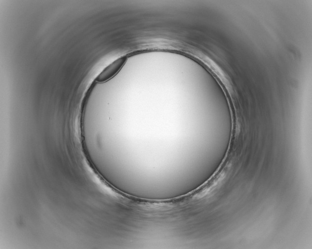 X0000111591293200907161145