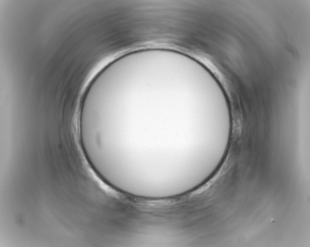 X0000111591294200907161145