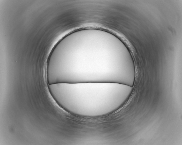 X0000111591295200907161145