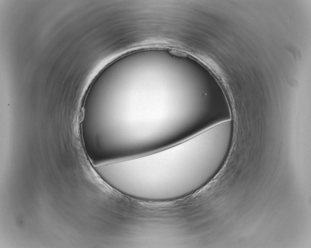 X0000111591296200907161145