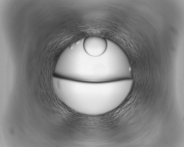 X0000111591297200907161145
