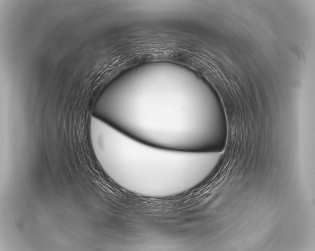 X0000111591298200907161145