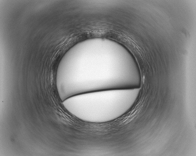 X0000111591299200907161145