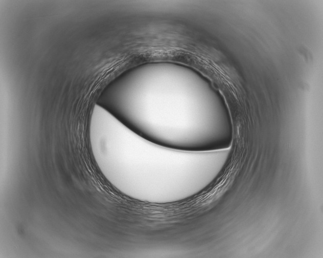X0000111591300200907161145