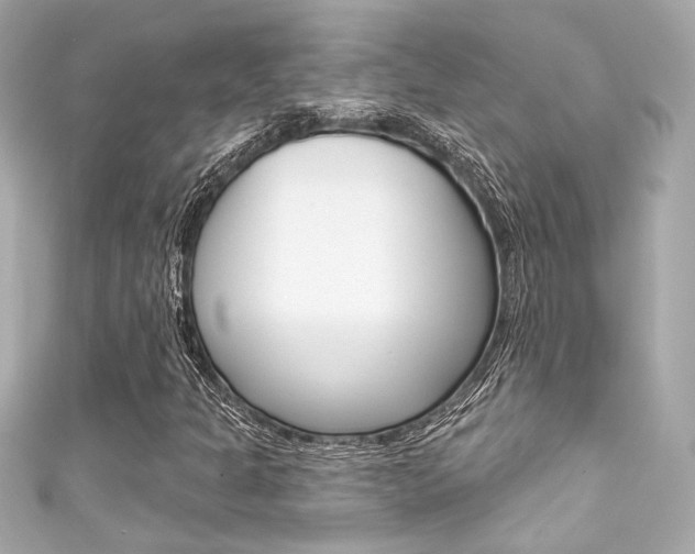 X0000111591301200907161145