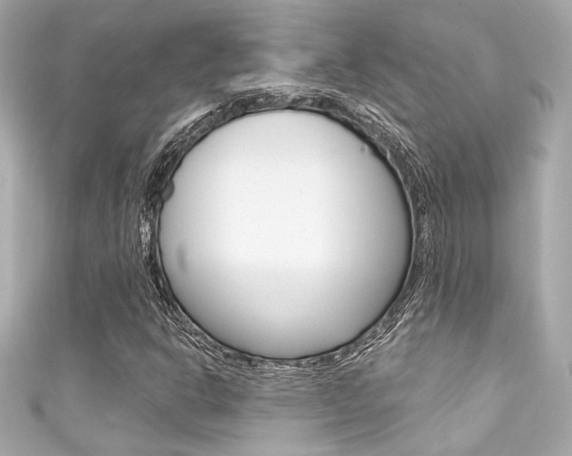 X0000111591302200907161145