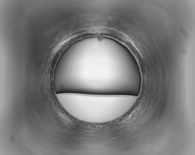 X0000111591304200907161145