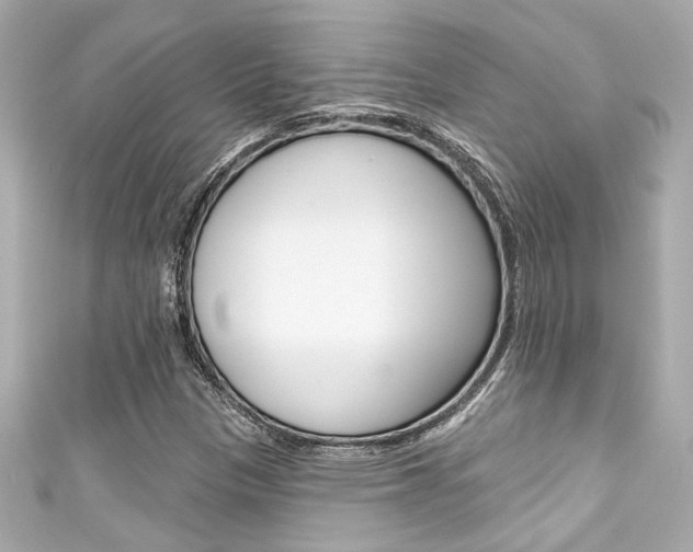 X0000111591305200907161145