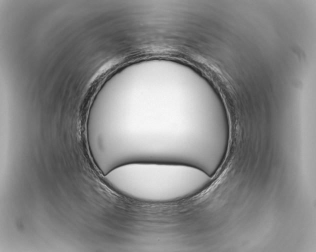 X0000111591306200907161145