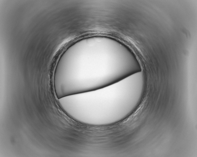 X0000111591307200907161145