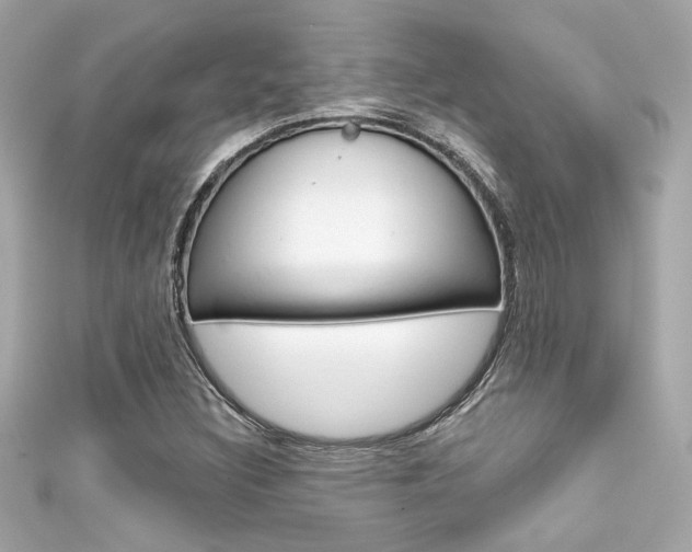 X0000111591308200907161145