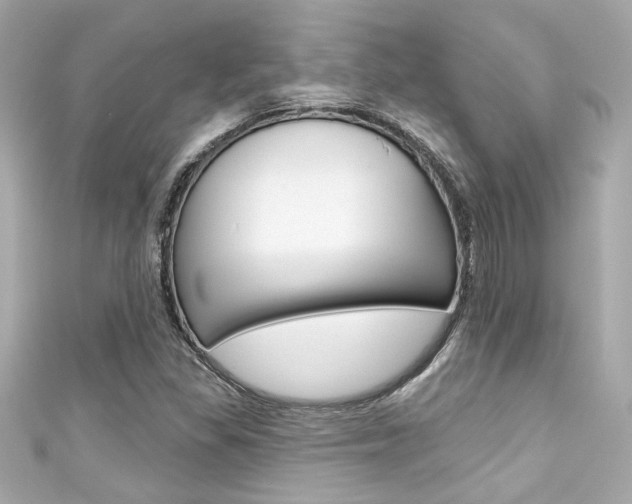 X0000111591309200907161145