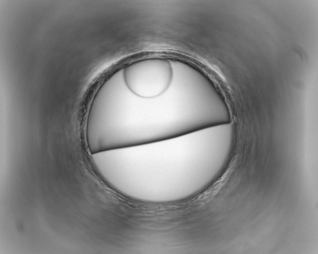 X0000111591311200907161145