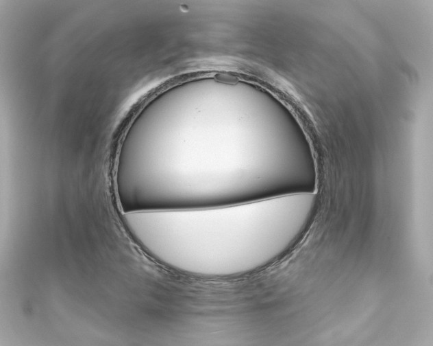X0000111591312200907161145