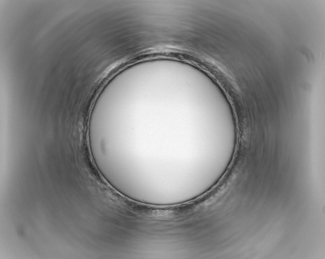 X0000111591313200907161145