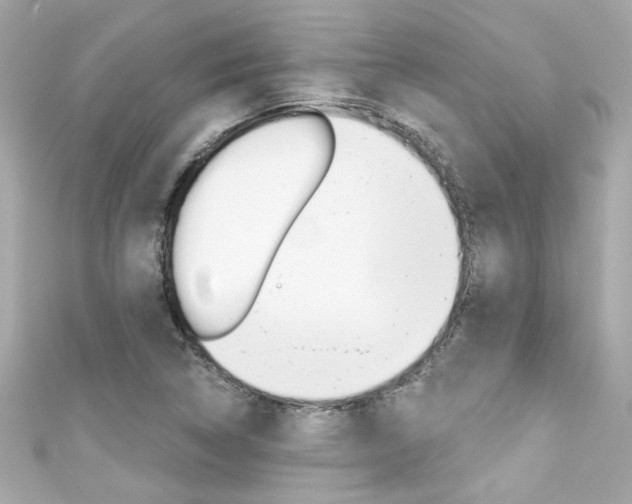 X0000111591314200907161145