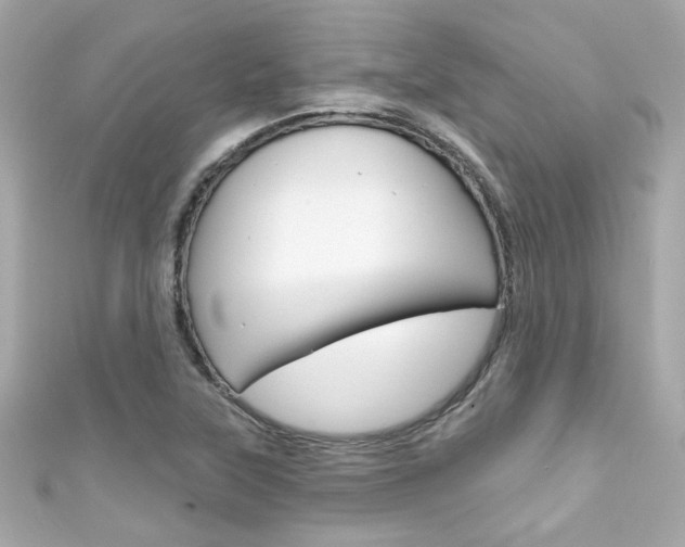 X0000111591315200907161145