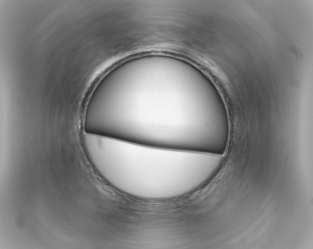 X0000111591316200907161145
