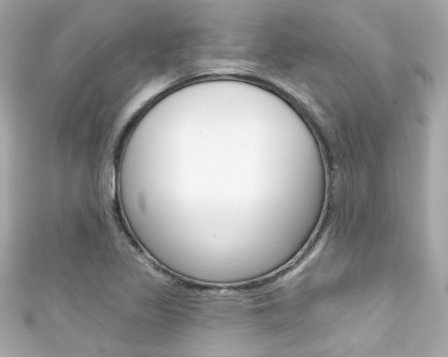 X0000111591317200907161145