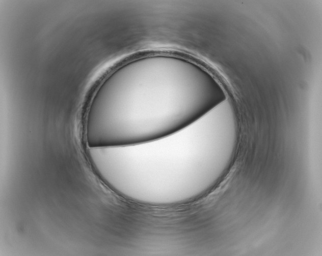 X0000111591319200907161145