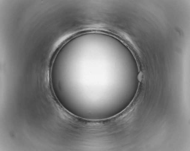 X0000111591320200907161145