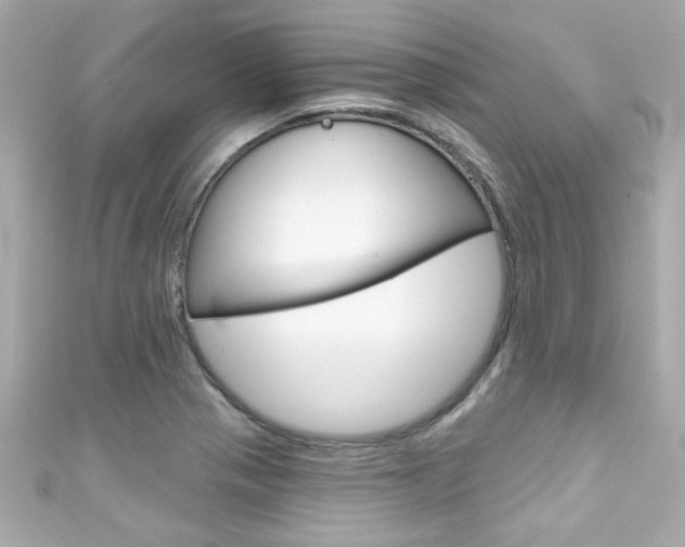 X0000111591321200907161145