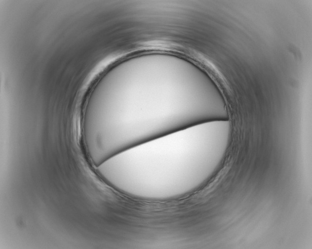 X0000111591323200907161145