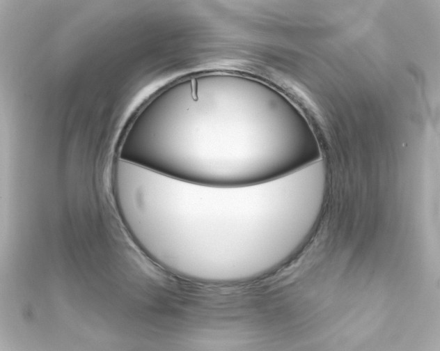 X0000111591324200907161145