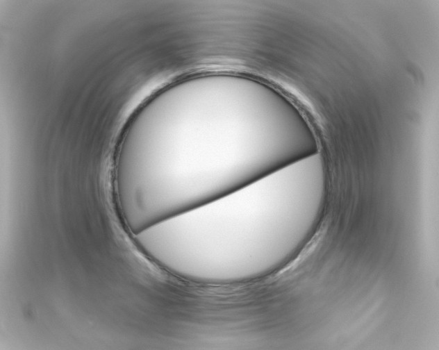 X0000111591325200907161145