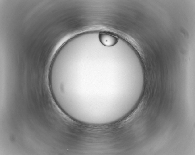 X0000111591326200907161145
