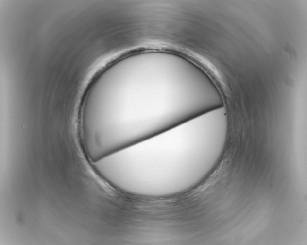 X0000111591327200907161145