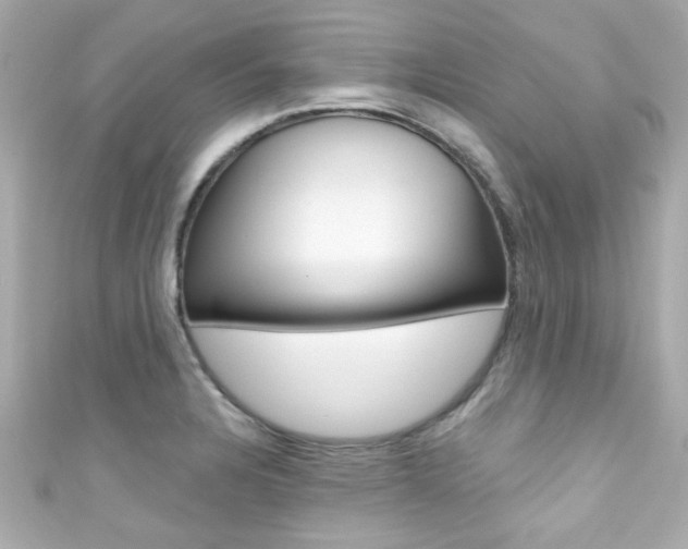 X0000111591328200907161145