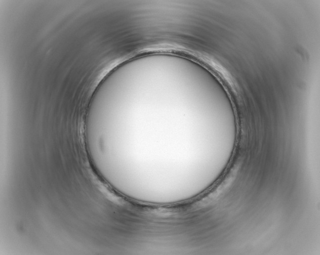 X0000111591329200907161145