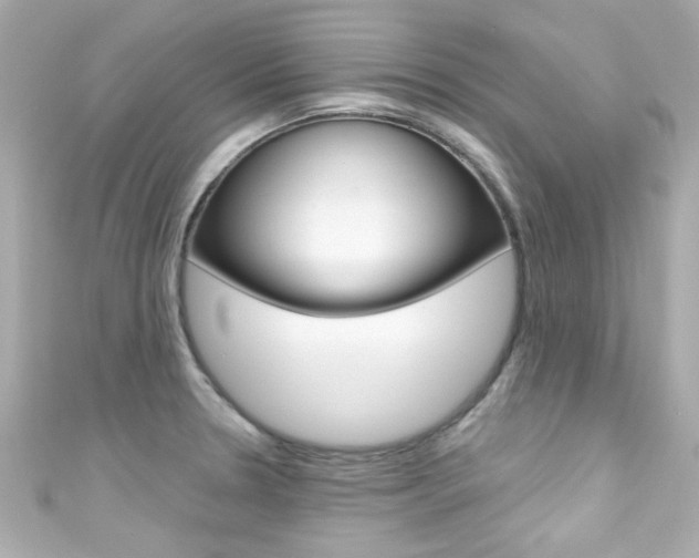 X0000111591330200907161145