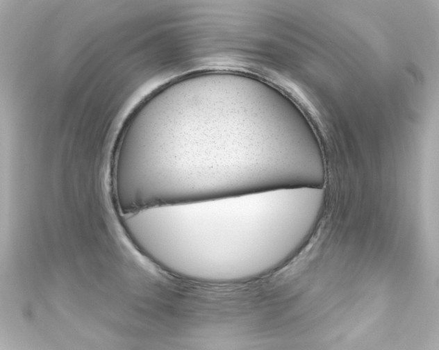 X0000111591331200907161145