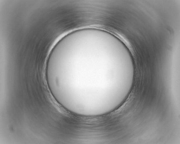 X0000111591332200907161145