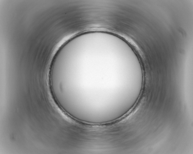 X0000111591333200907161145