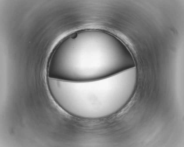 X0000111591334200907161145