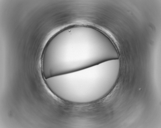 X0000111591335200907161145