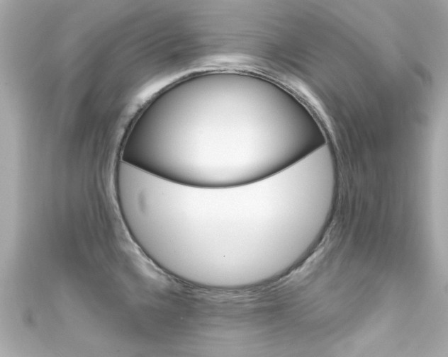 X0000111591336200907161145