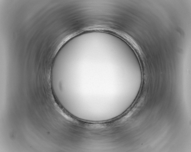 X0000111591337200907161145