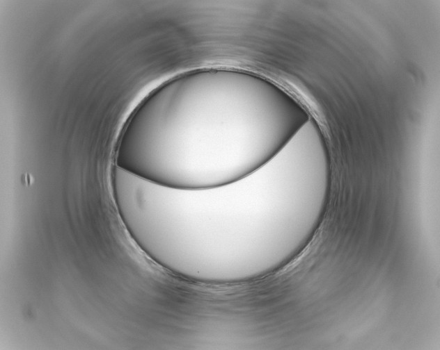 X0000111591340200907161145