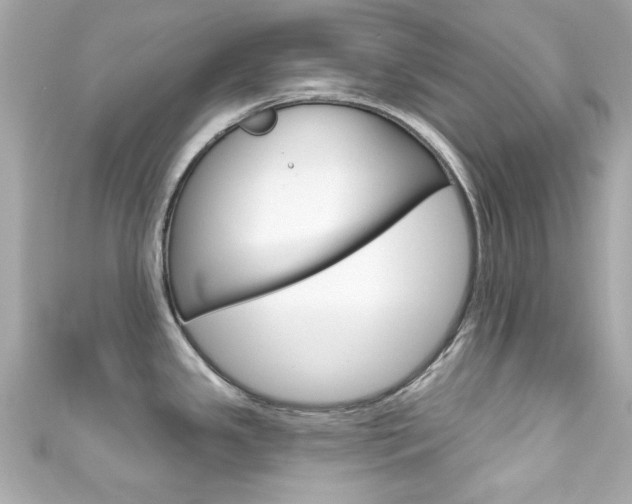 X0000111591341200907161145