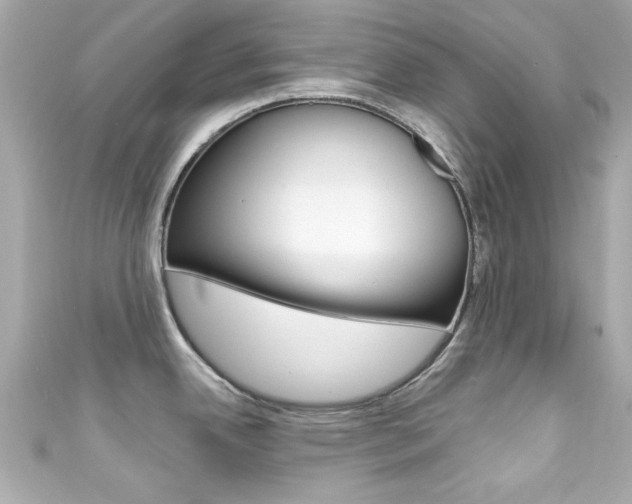 X0000111591342200907161145